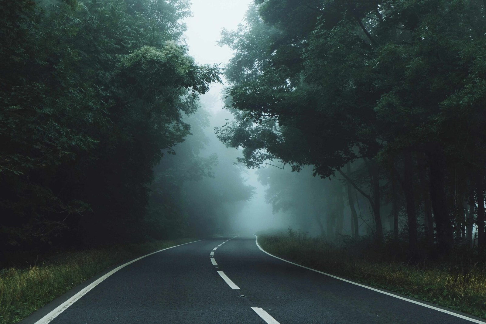 Estrada cercada por árvores em meio à neblina, simbolizando caminho, discernimento, propósito e transformação.